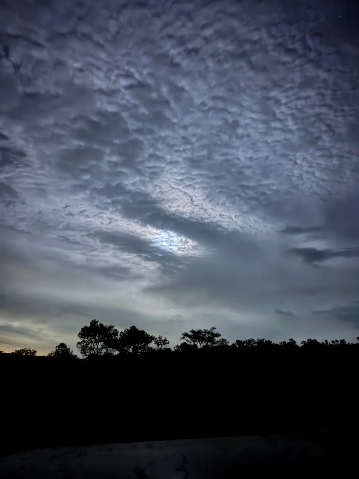 Textured clouds and fading light over the bush.