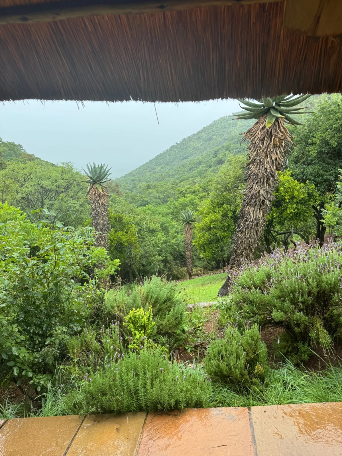 Green valley scenery framed by the lodge’s thatched terrace.