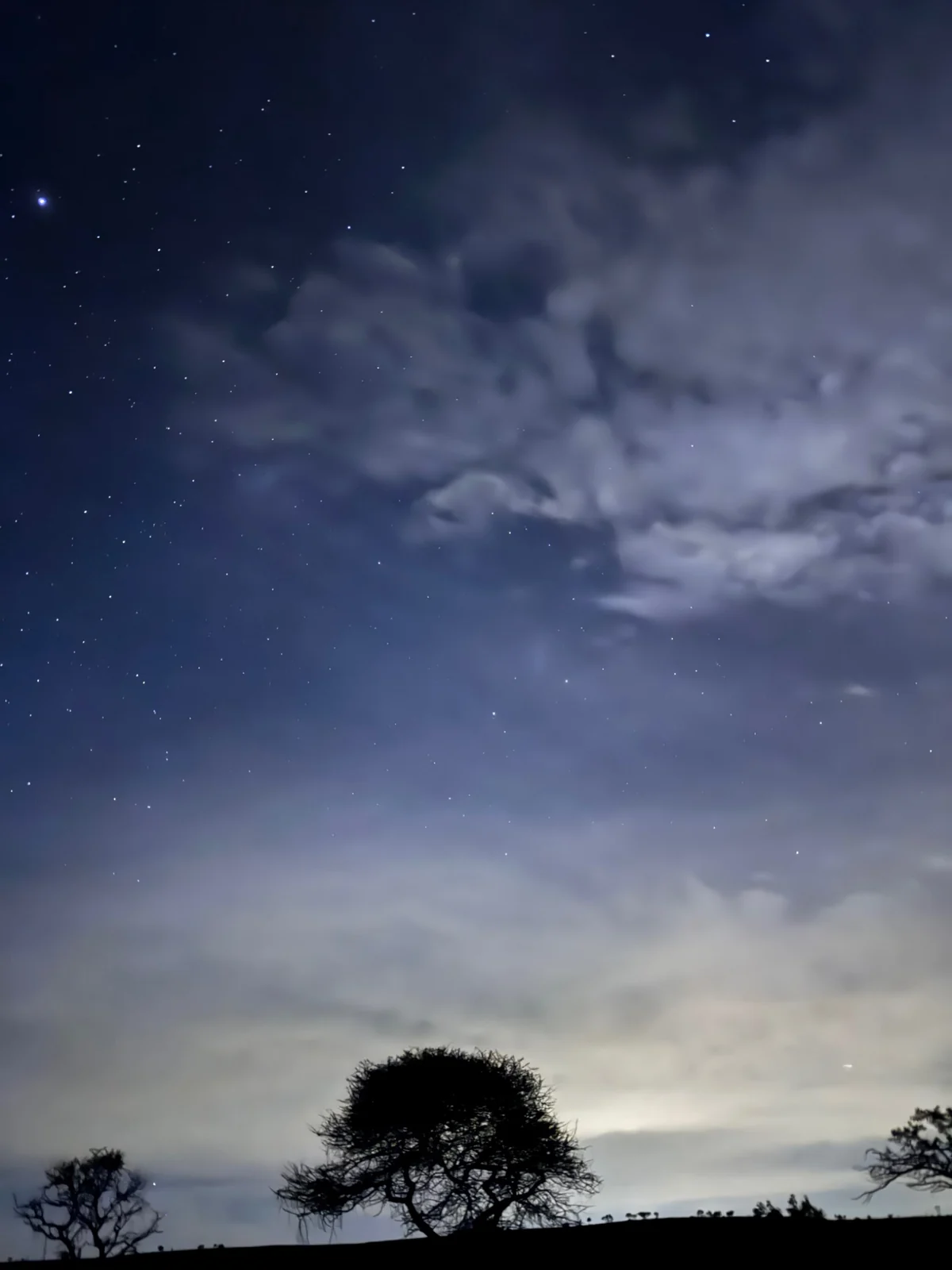 Layers of evening cloud above a silhouetted tree.